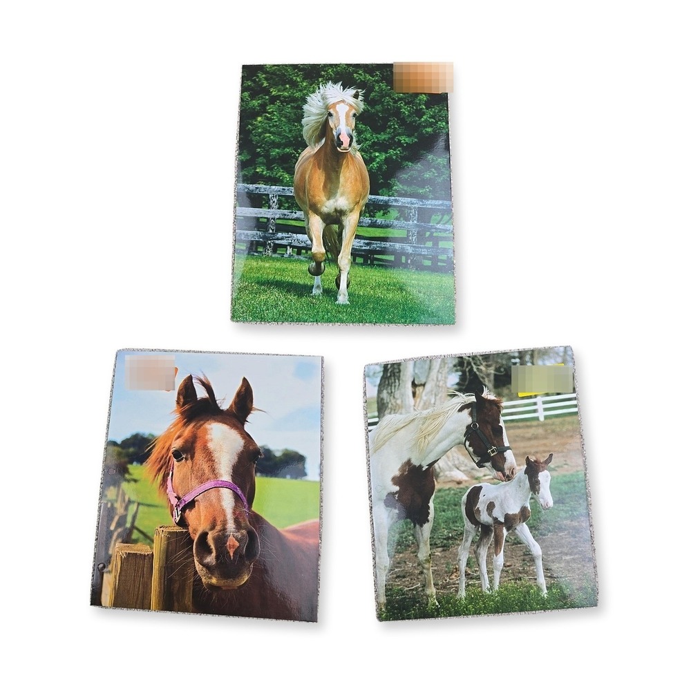 Horse Equestrian Pocket Folders Lot of 3 3 Ring Binder School New